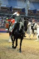 Cavalry - 00305